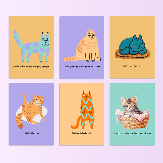 Karte A6 Bundle: 6 Stück "Rude Cats" - Muncat