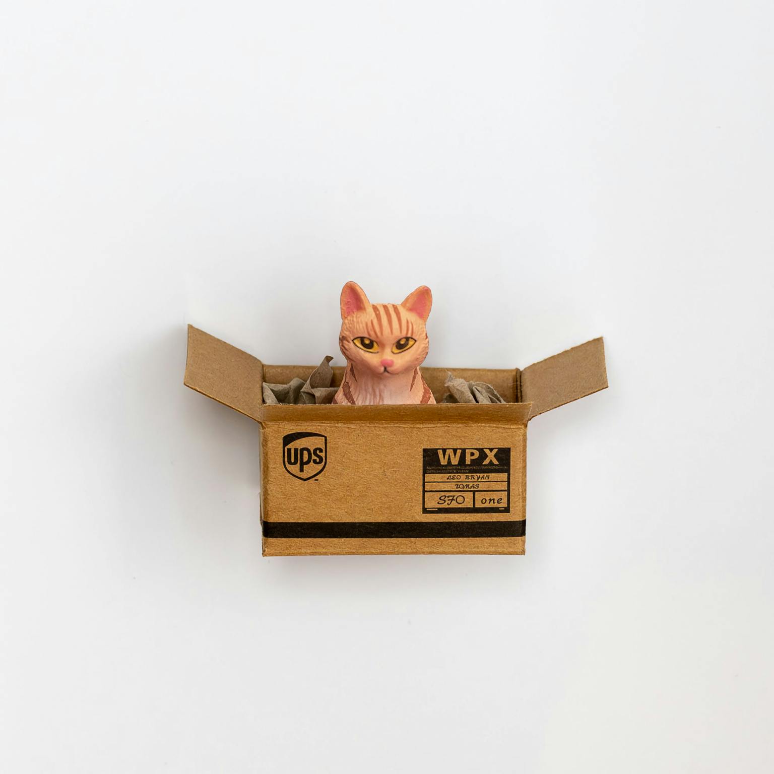 Kühlschrankmagnet Katze im Karton - Muncat