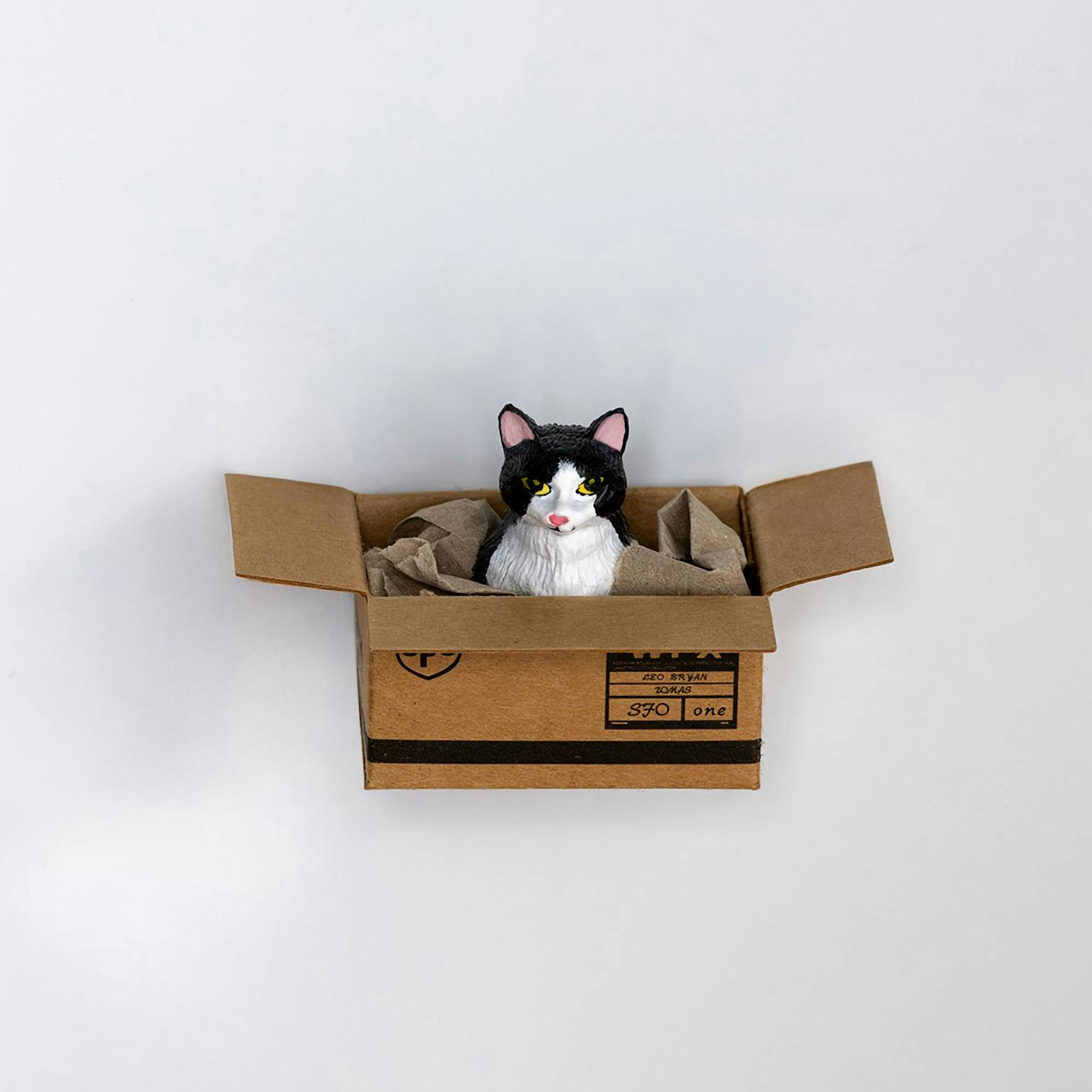 Kühlschrankmagnet Katze im Karton - Muncat
