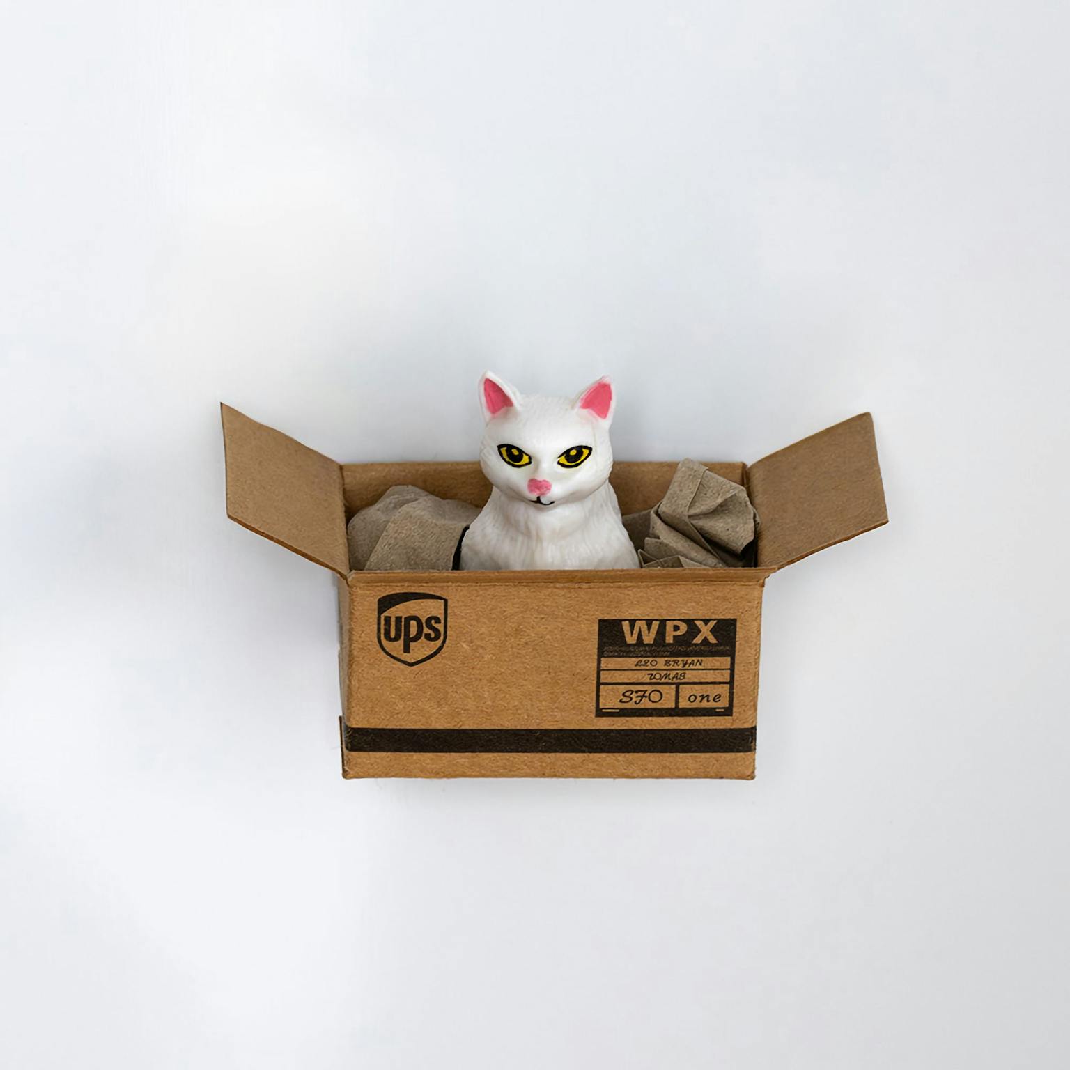 Kühlschrankmagnet Katze im Karton - Muncat