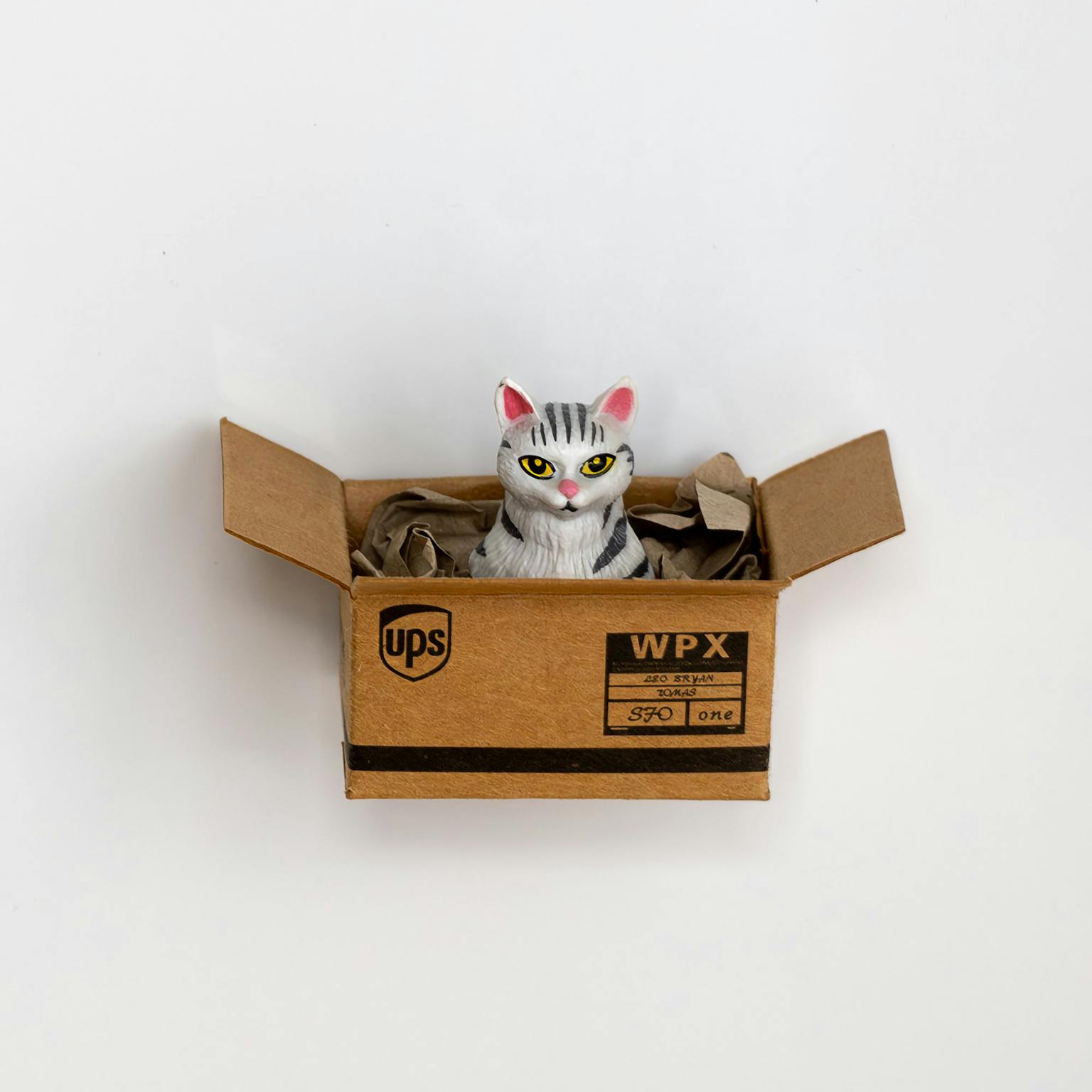 Kühlschrankmagnet Katze im Karton - Muncat
