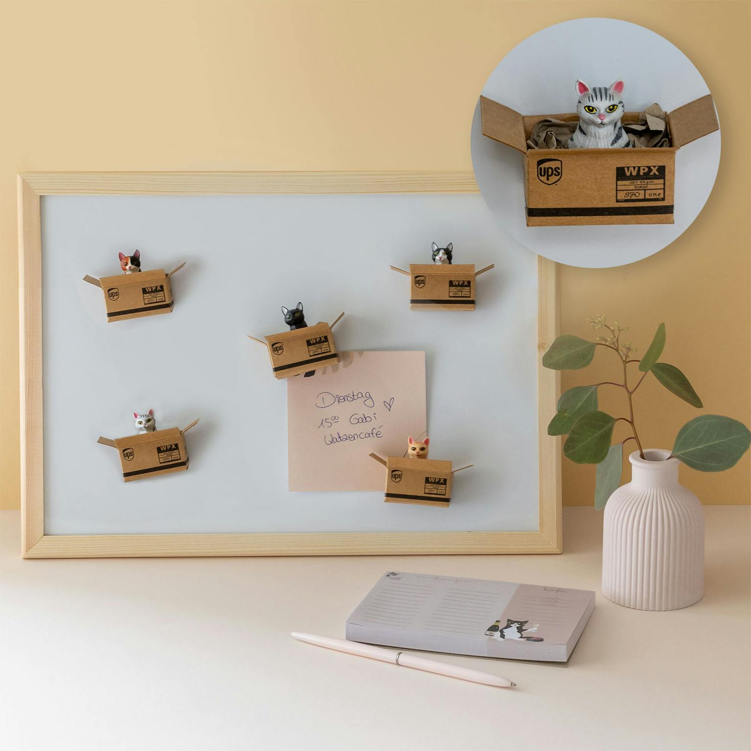 Kühlschrankmagnet Katze im Karton - Muncat