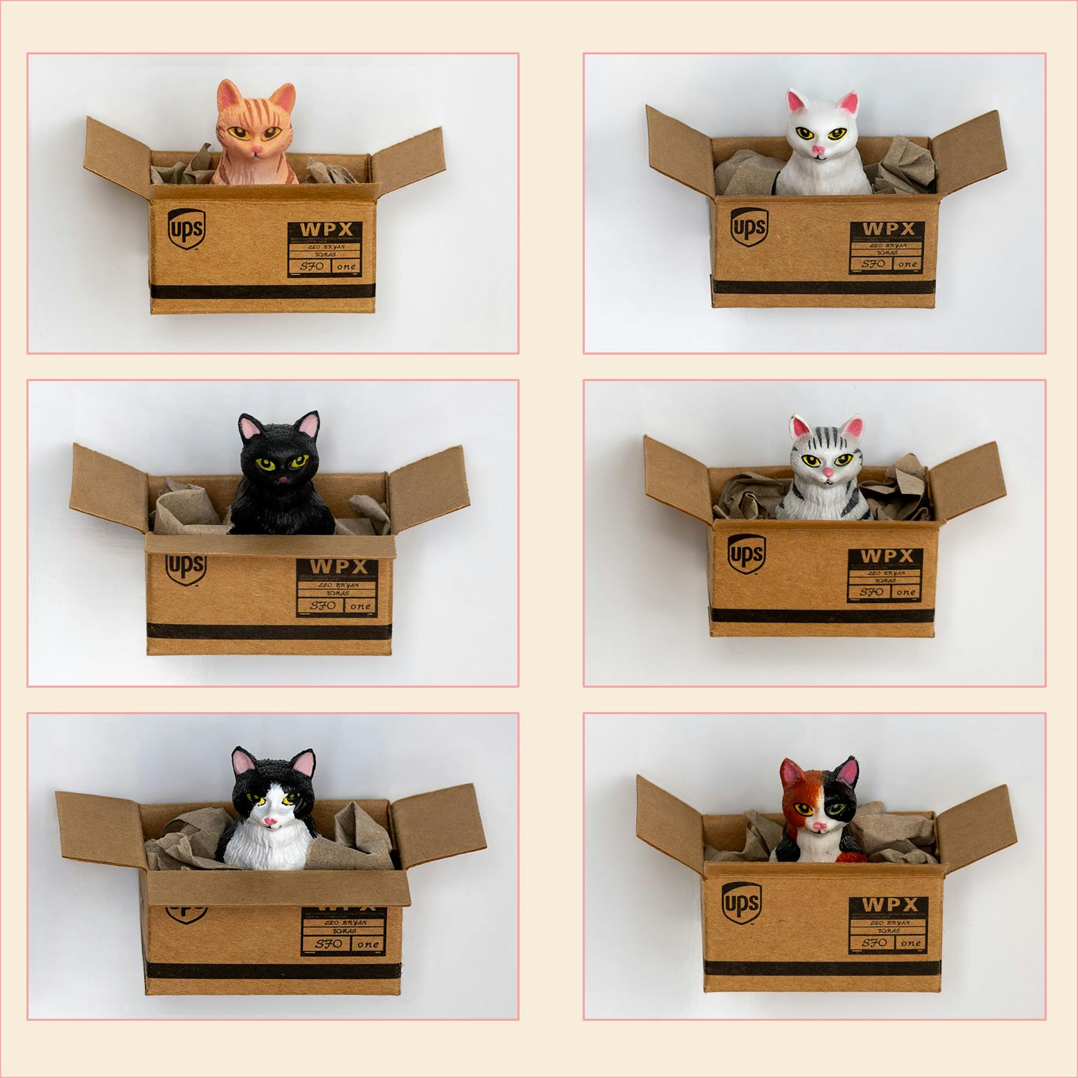 Kühlschrankmagnet Katze im Karton - Muncat