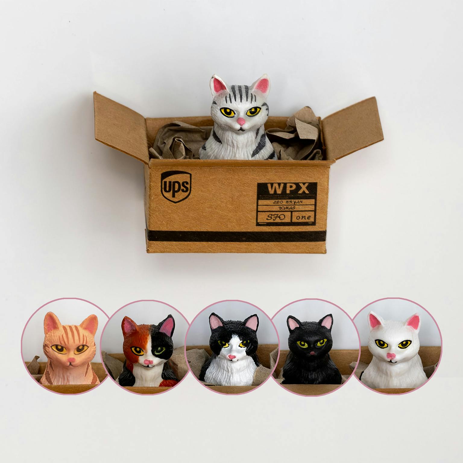 Kühlschrankmagnet Katze im Karton - Muncat