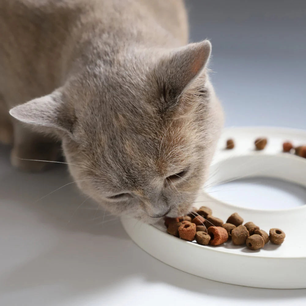 Slowfeeder Futternapf "Ring" - Muncat