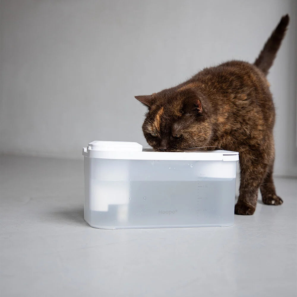 Katzen-Trinkbrunnen Hydr - Muncat
